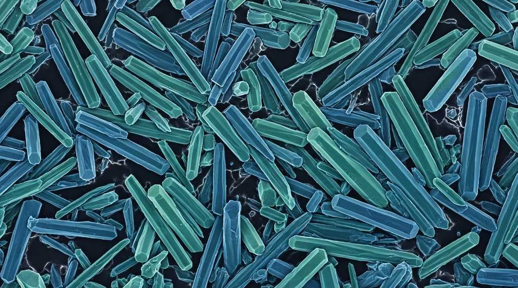 Microstructure cross-section showing elongated β-Si3N4 grains and grain boundaries