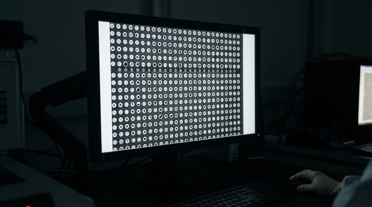 X-ray inspection image showing filled vias and void detection in a ceramic board